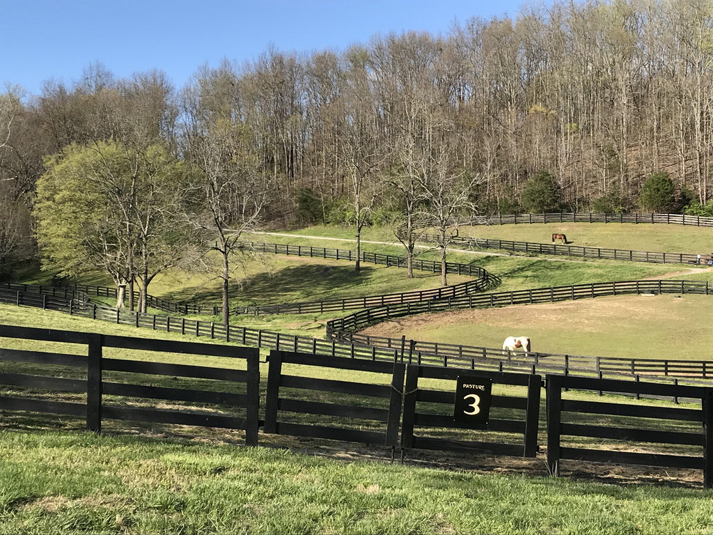 Mixed Bag of Addressing COVID-19 Across America