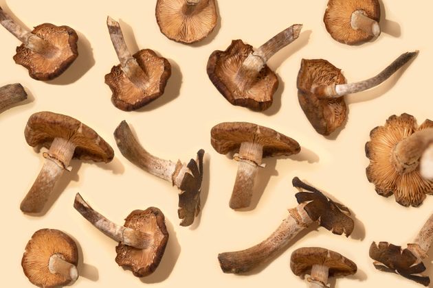 Ditch Your Latte, You Should Be Drinking Mushroom Coffee