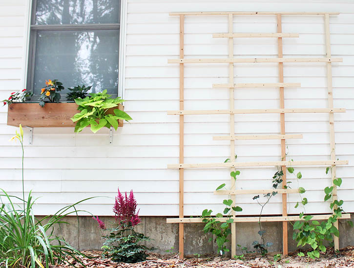 How To Build A Garden Trellis From Start To Finish