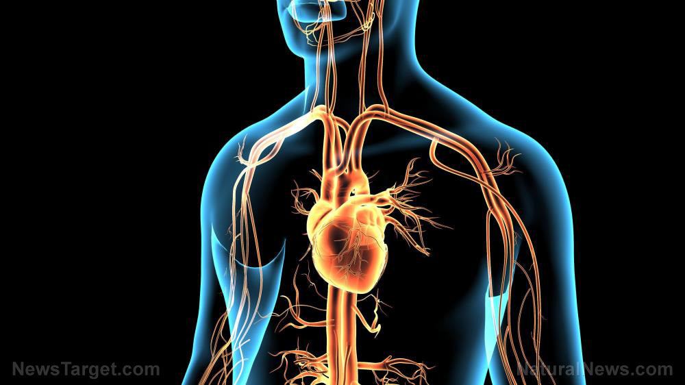 COVID-19 vaccines can cause SEVERE MYOCARDITIS, warns Chinese cardiologist