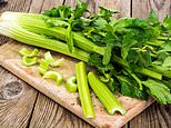 Chances of recovering from a stroke boosted by drug made from celery seeds: study