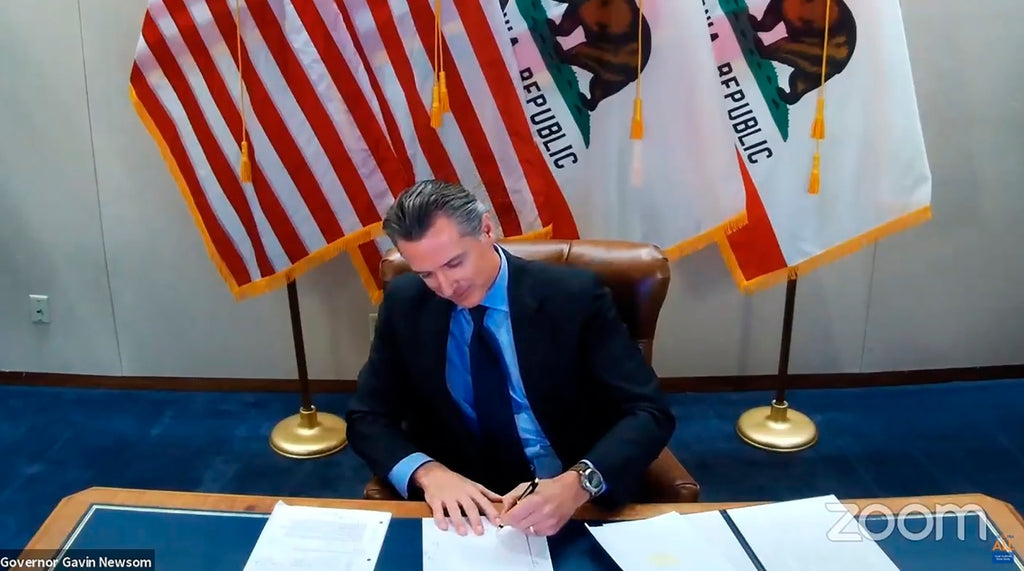 Blame Gov. Newsom for reparations plan’s blowback