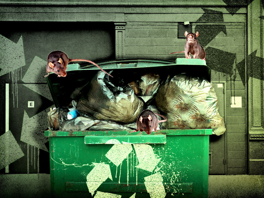 How to compost, recycle and get rid of anything in NYC