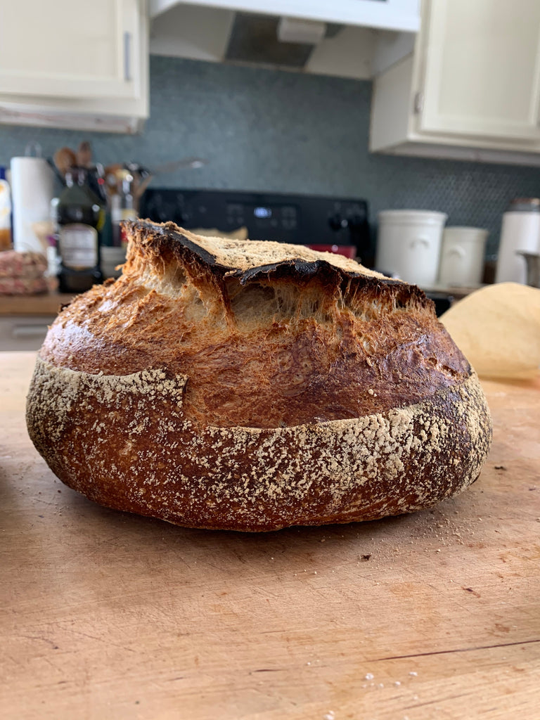 Adventures in sourdough bread, Making, Shaping and Baking Loaves - part 2